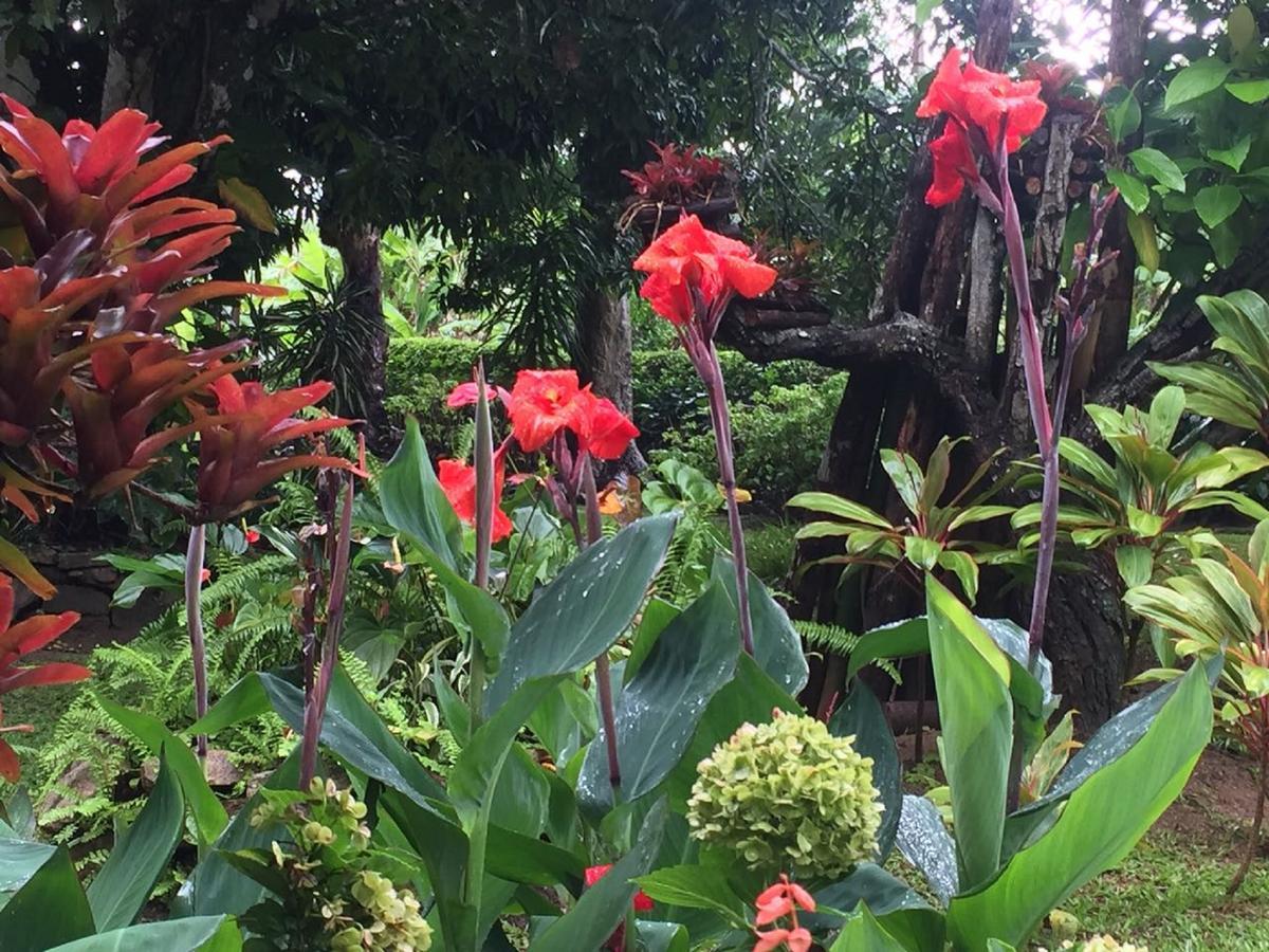 Sitio Alto Da Montanha - Voce Em Paz Com A Natureza Villa Pacoti Exteriör bild